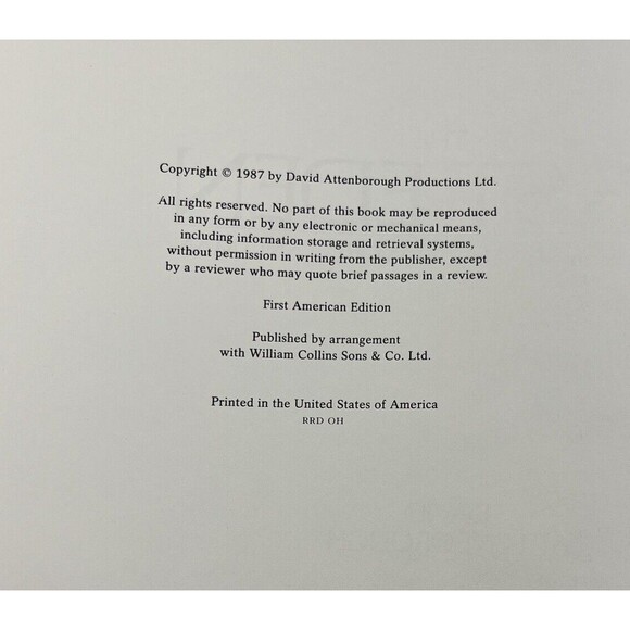 The First Eden: The Mediterranean World and Man by David Attenborough 1987 - Picture 5 of 12